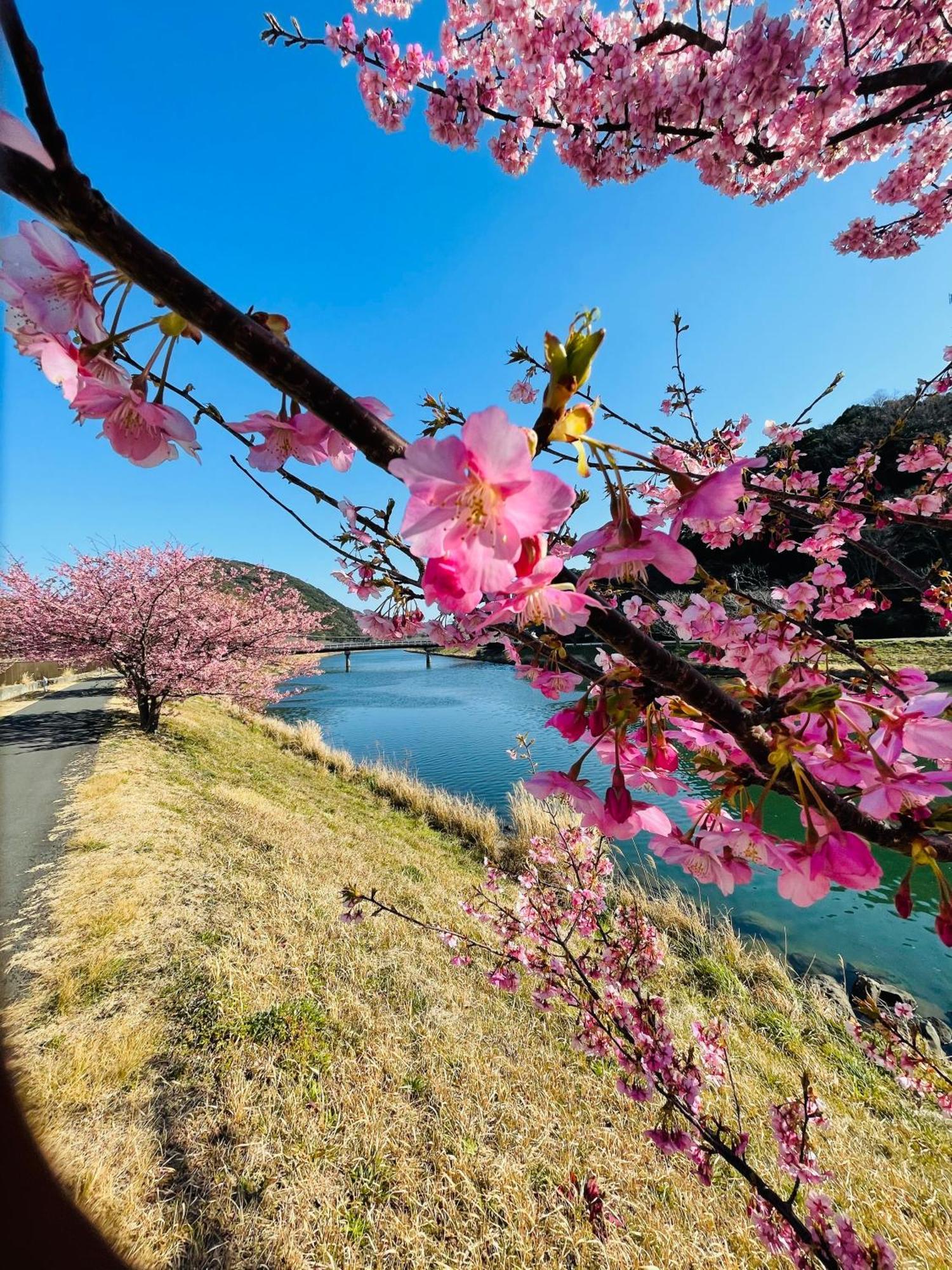 下田麦可密欧住宿加早餐旅馆住宿加早餐旅馆 外观 照片